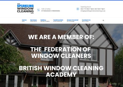 Sparkling Window Cleaning
